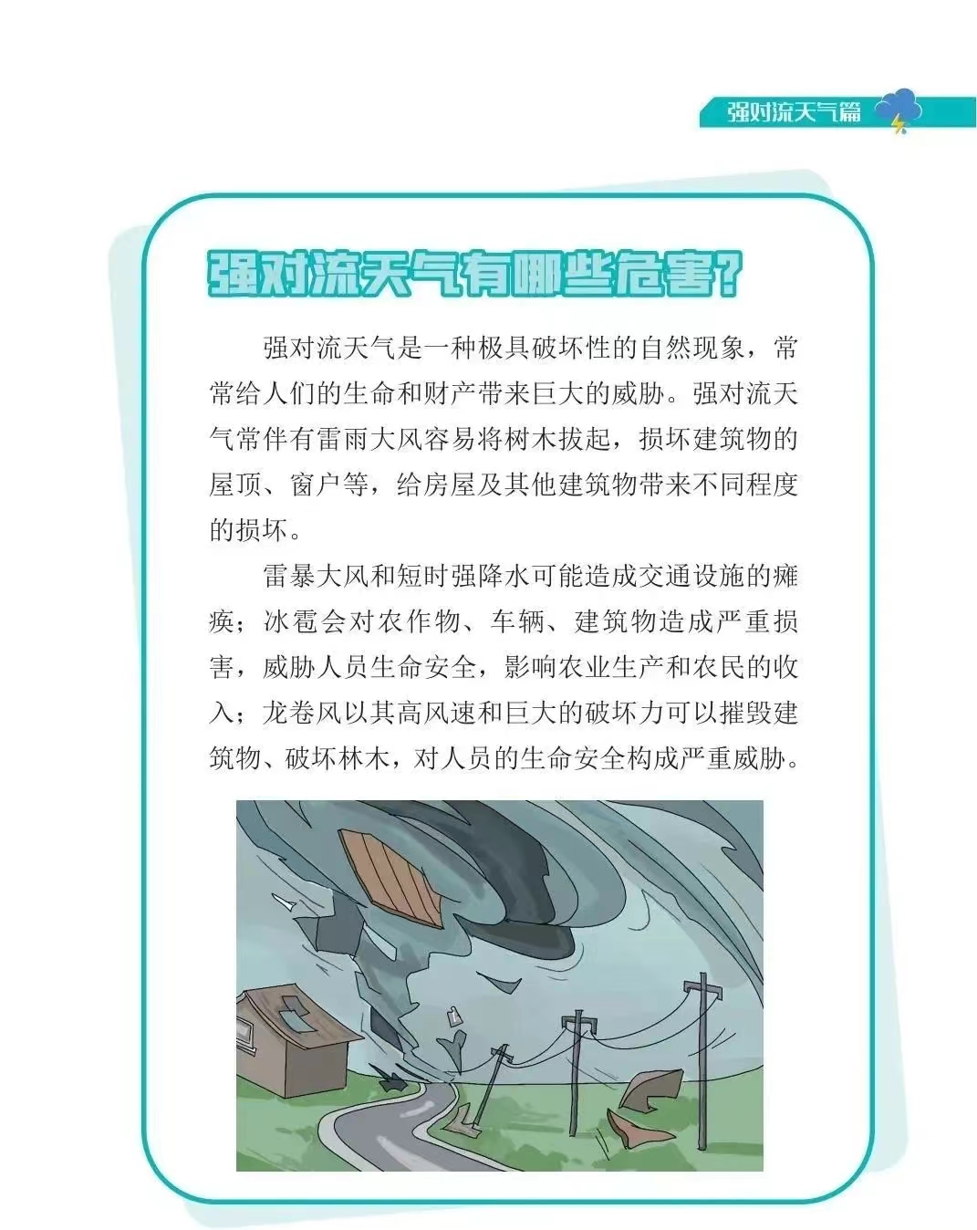 48.jpg